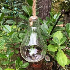 2 Glass Teardrop Succulent Terrarium Kits